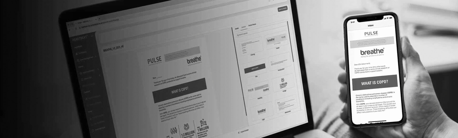 Veeva Approved Email banner